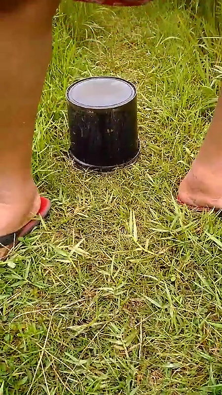 peesing in paddy fields