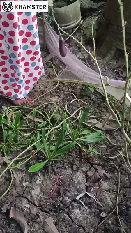 Village spade pussy with I quenched my thirst nomita boudi