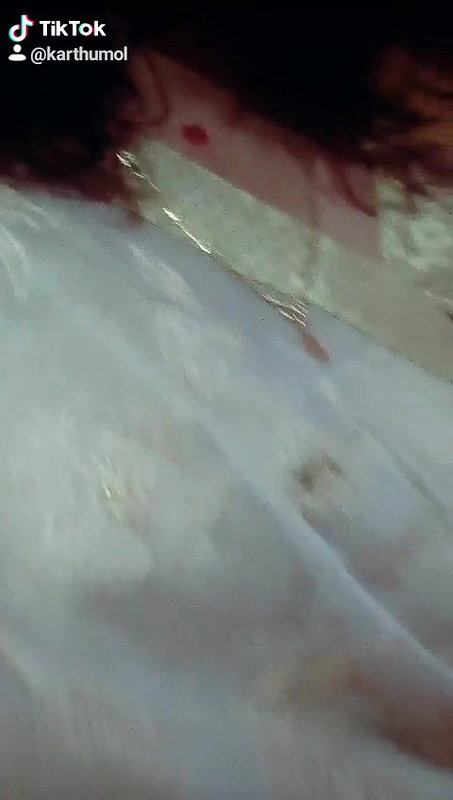 MYD-SPG-SOUTH-12222024- 650