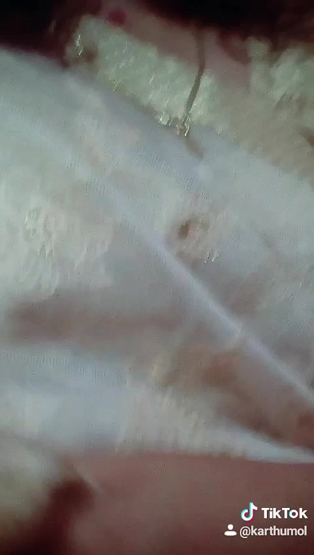 MYD-SPG-SOUTH-12222024- 650