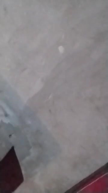 MYD-SPG-SOUTH-12222024- 634