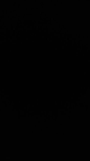 MYD-SPG-SOUTH-12222024- 494