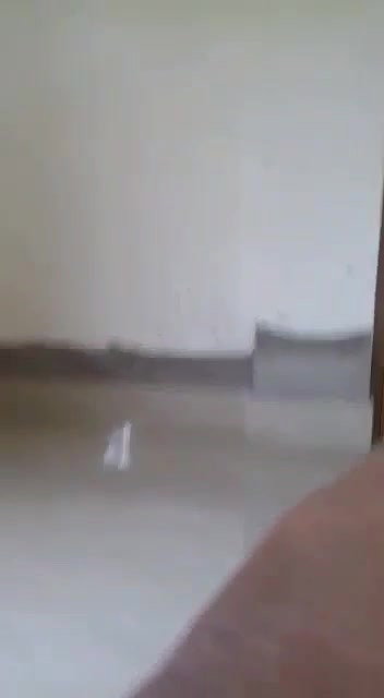 MYD-SPG-SOUTH-12222024- 479