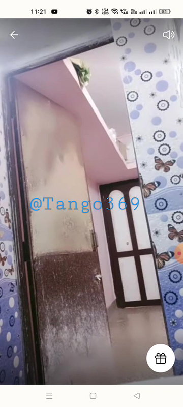 MYD-SPG-SOUTH-12222024- 43