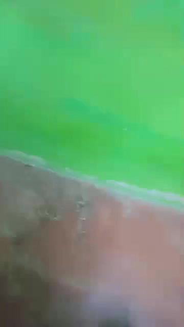 MYD-SPG-SOUTH-12222024- 407