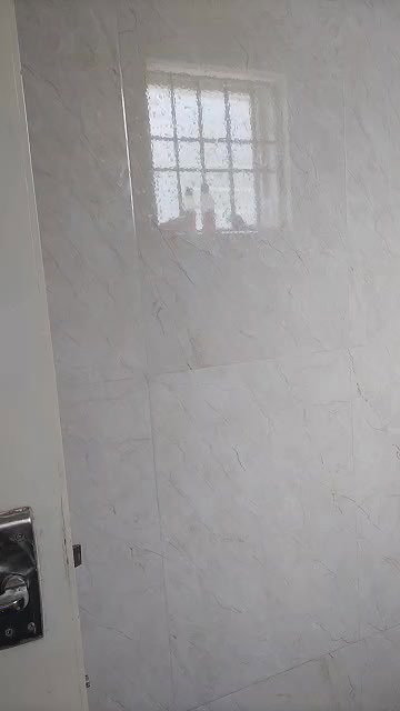 MYD-SPG-SOUTH-12222024- 366