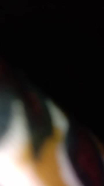 MYD-SPG-SOUTH-12222024- 357