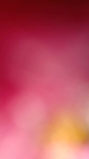 MYD-SPG-SOUTH-12222024- 357