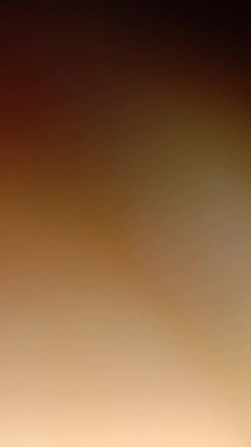 MYD-SPG-SOUTH-12222024- 333