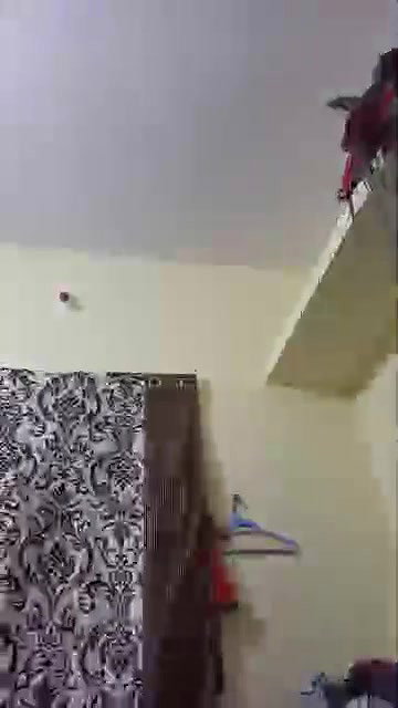 MYD-SPG-SOUTH-12222024- 320