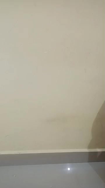 MYD-SPG-SOUTH-12222024- 283