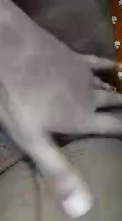 MYD-SPG-SOUTH-12222024- 245