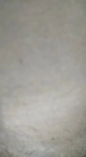 MYD-SPG-SOUTH-12222024- 245