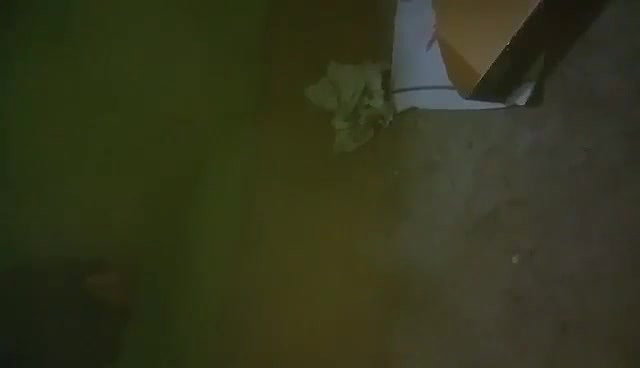 Desi village wife fucking mid night with devar