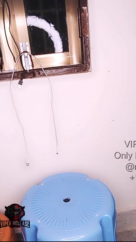 MYD-SPG-SOUTH-12222024- 135