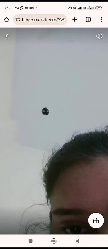 MYD-SPG-SOUTH-12222024- 115