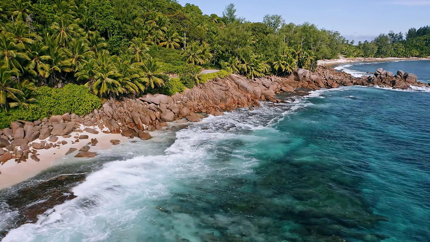 Elitarna czarująca towarzyszka, Faustina Pierre, dała mi doświadczenie seksualne w klasie biznesowej bez prezerwatywy i sprawia, że cum