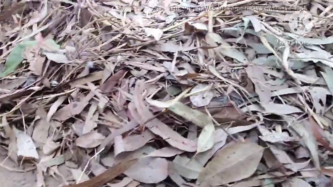 Desi hot bhabhi ki chudai ki outdoor