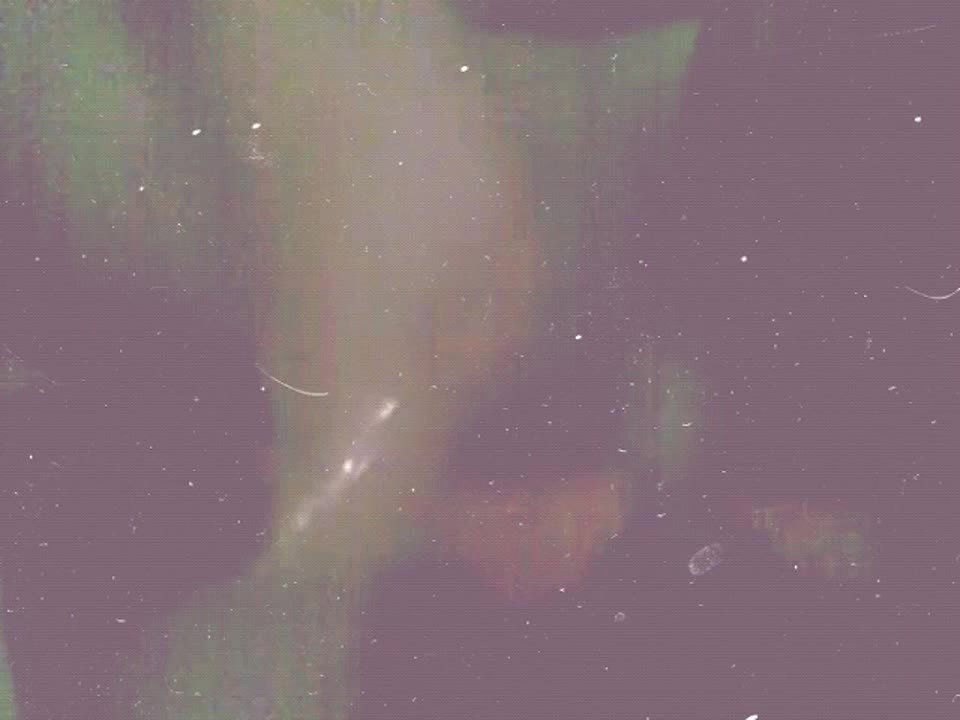 Horny Babe Sucking Dick And Fucking With Lover
