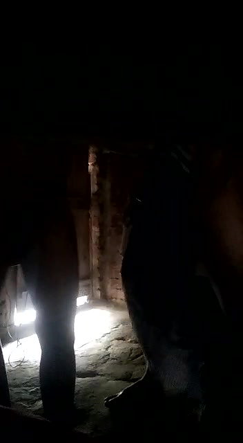 Horny Village Dever Bhabhi Fucking