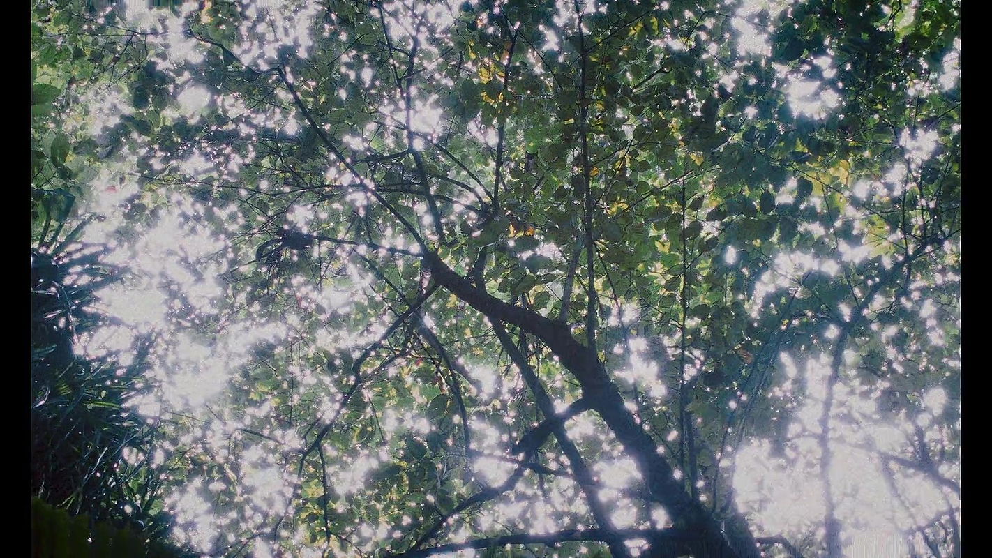 Kani Kusruti Nude Ass and Navel show in All We Imagine as Light