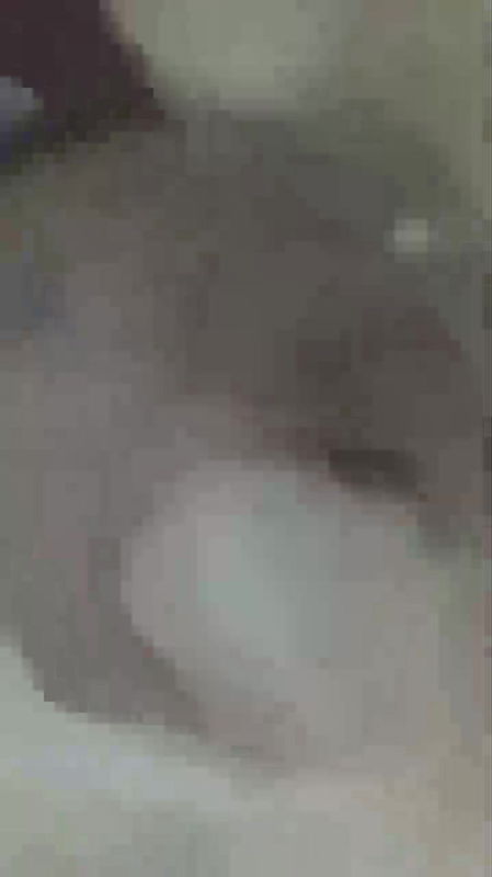 Myd rnd burma video collection 812025 -258