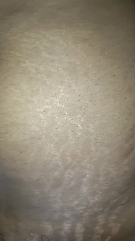 Bikini hot videos bhabhi