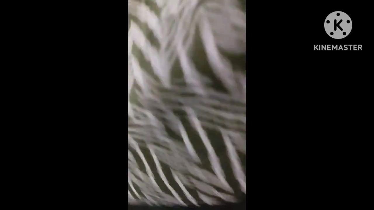 BBW Desi pussy fucking