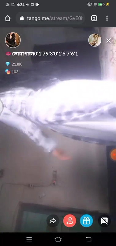 Myd rand bengali tango mb 1712025-39