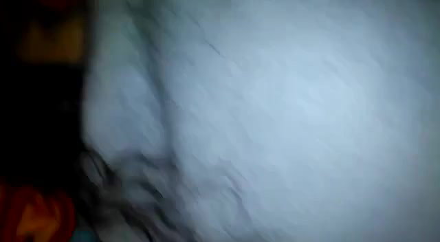 Big ass doggy