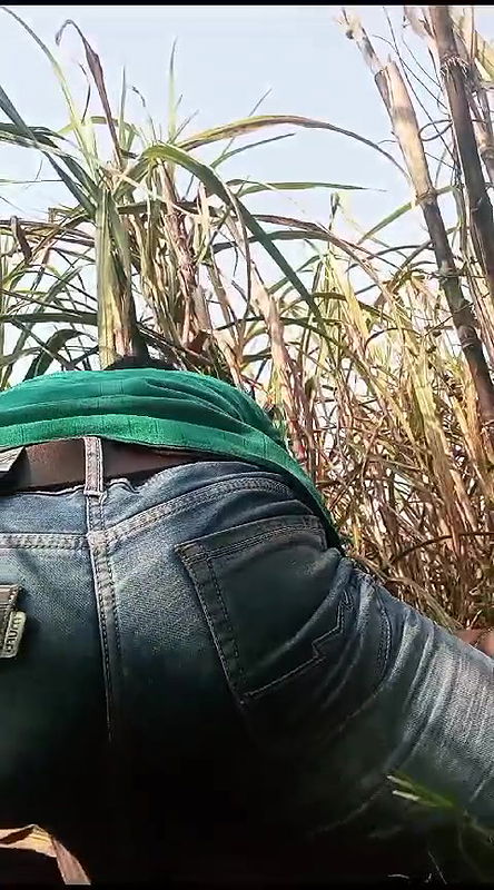 bhabhi ko khet me bulakar chudai kiya