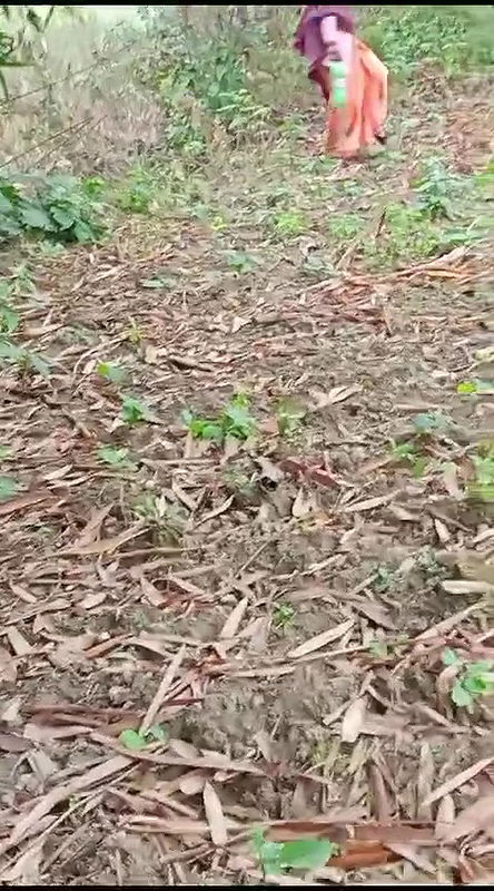 desi bhabhi latring karne gayi devar ne video recording kiya