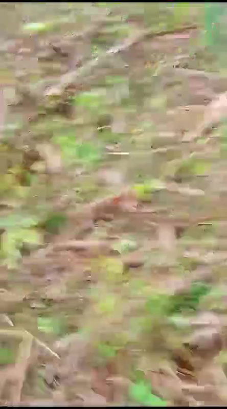 desi bhabhi latring karne gayi devar ne video recording kiya