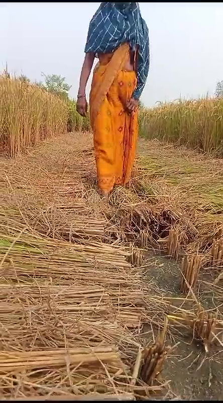 desi bhabhi urineing time video shoot in the field