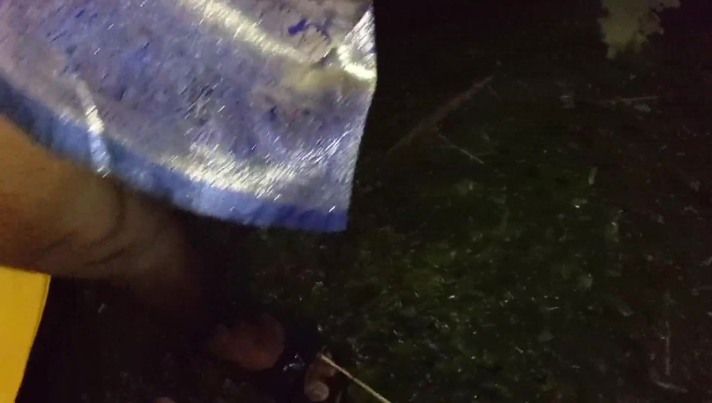 Me and my bhabhi In the paddy field