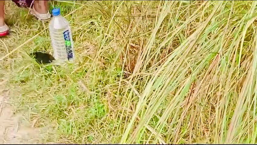 Radha bhabhi ko Jangal me mangal kiya