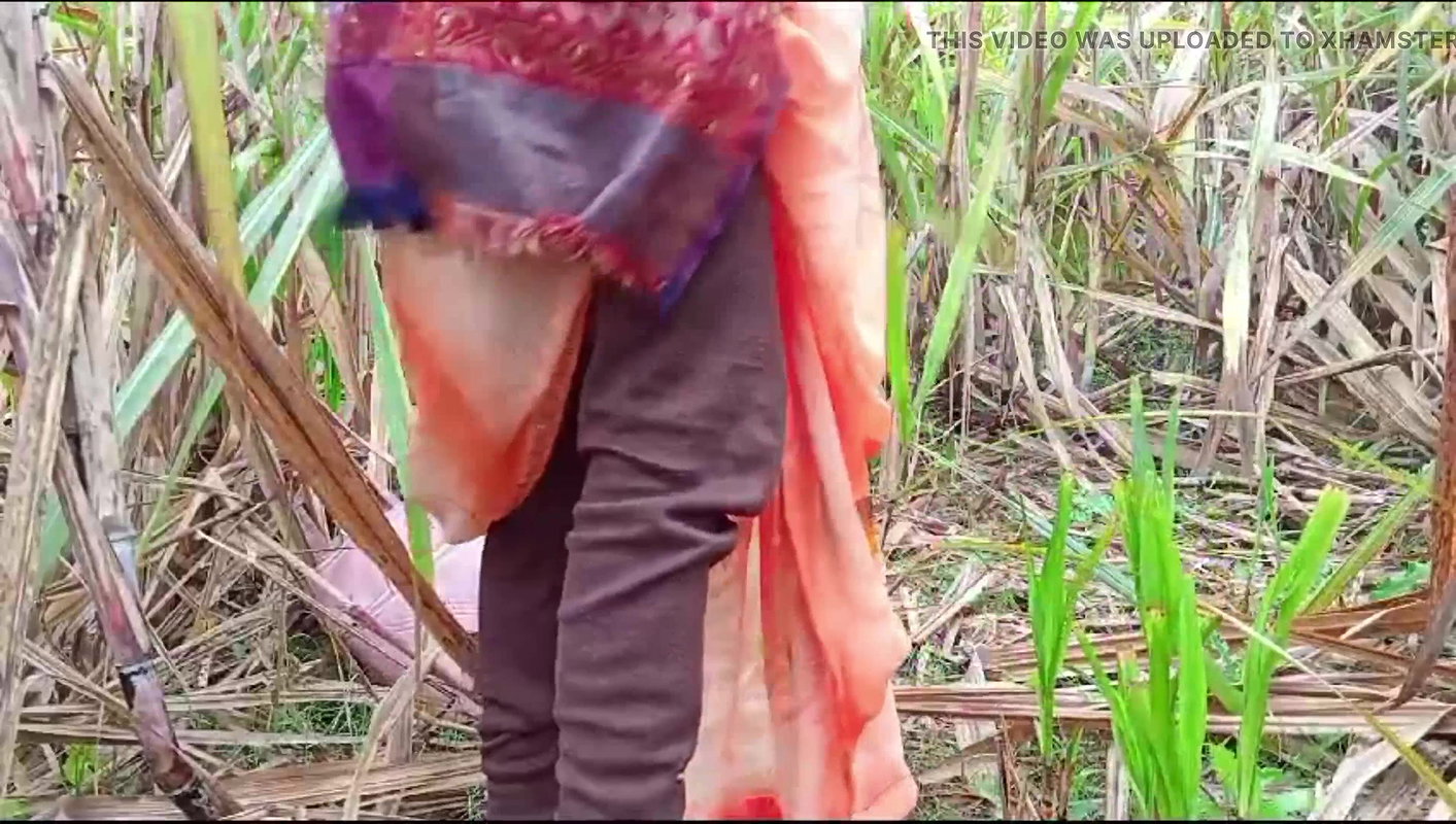 village bhabhi fucked in sugarcane (Doggy Style Pussy Fucking Video)