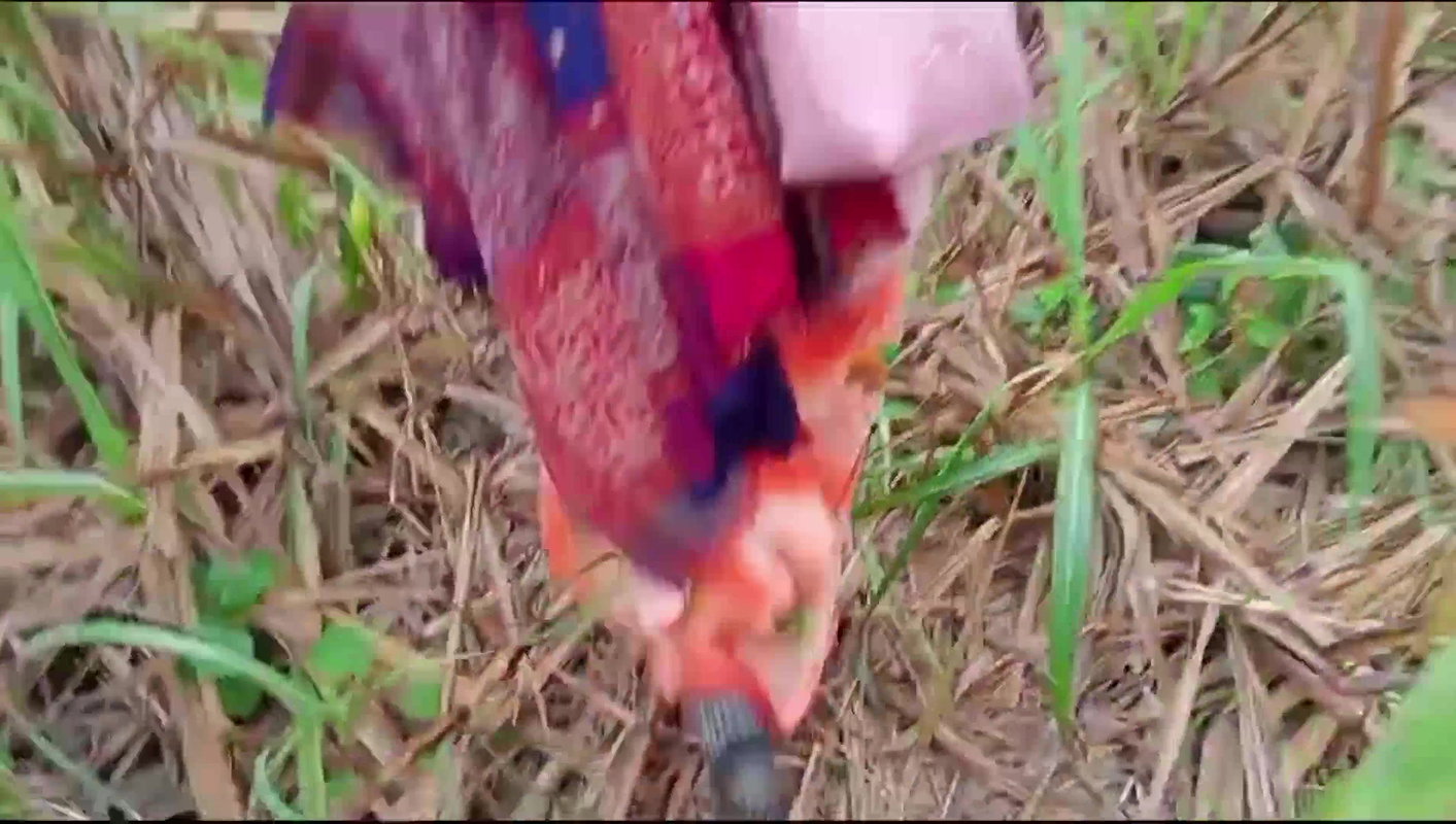village bhabhi fucked in sugarcane (Doggy Style Pussy Fucking Video)