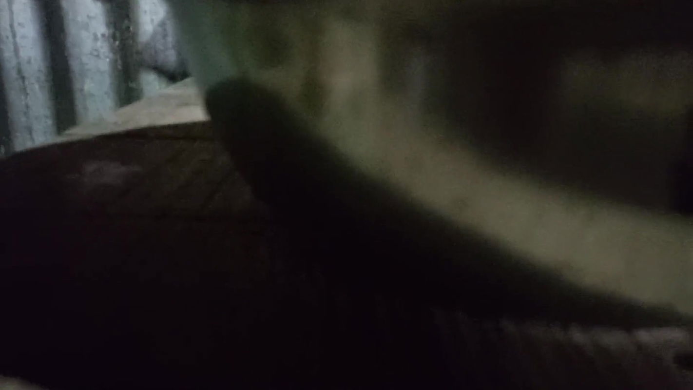 yours bhabhi I went to the kitchen and fucked