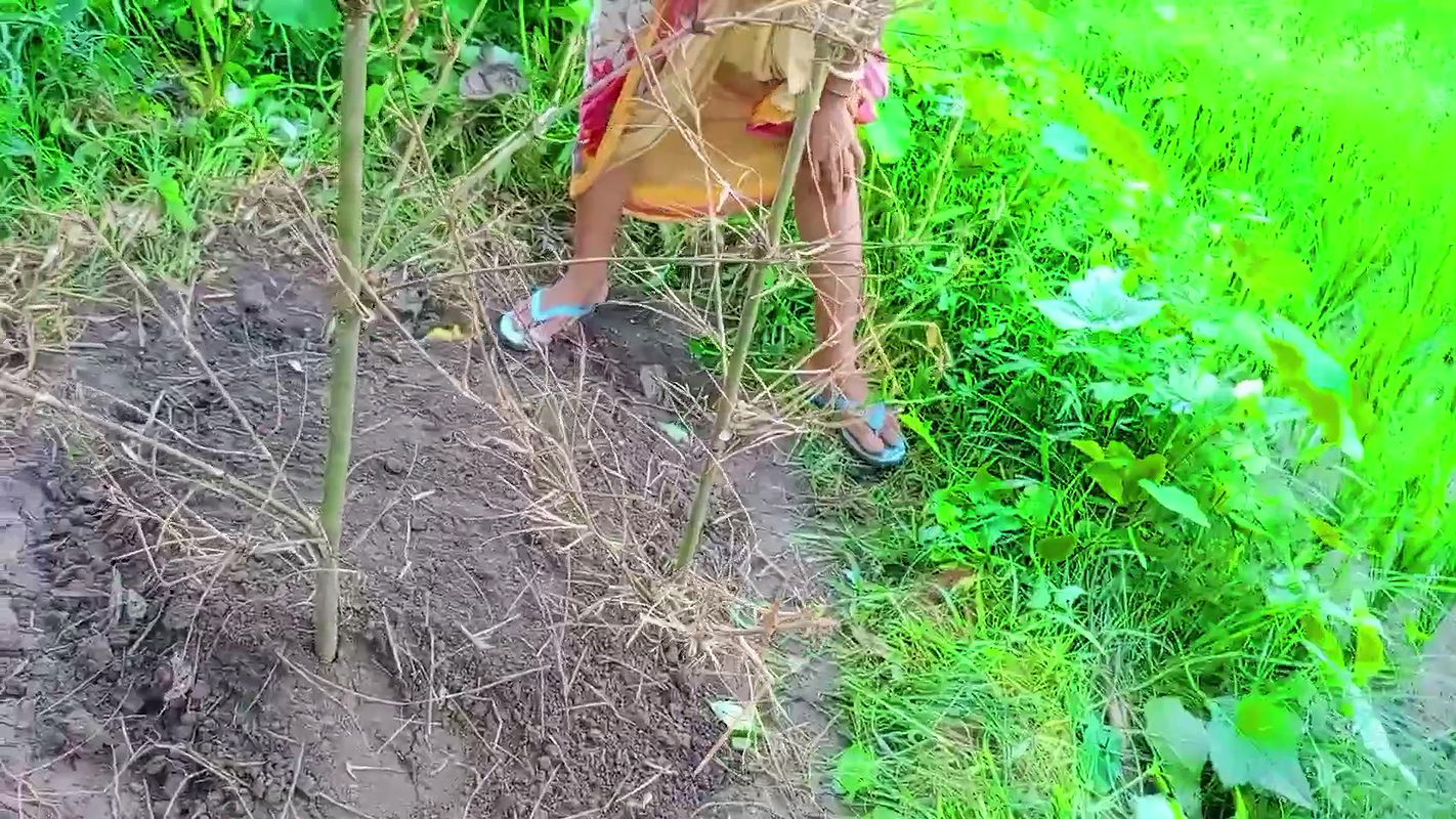 Lokal bhabhi and me outdoor sex