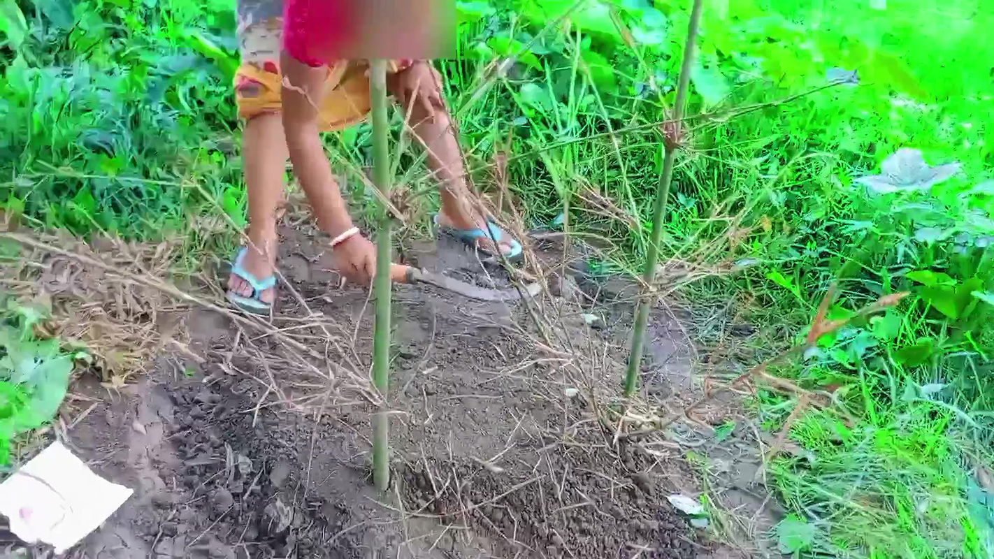 Lokal bhabhi and me outdoor sex