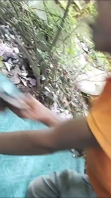 Paid randi fucked outdoor