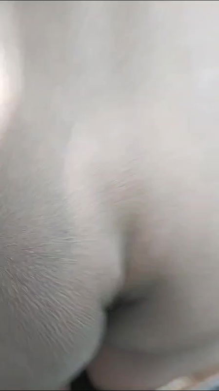 Paid randi fucked outdoor