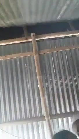 Village old sasur bahu fucking