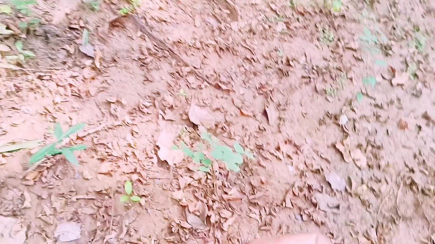 outdoor forest sex. Desi bhabi fucking Husband’s small big dick. Telugu dirty talks