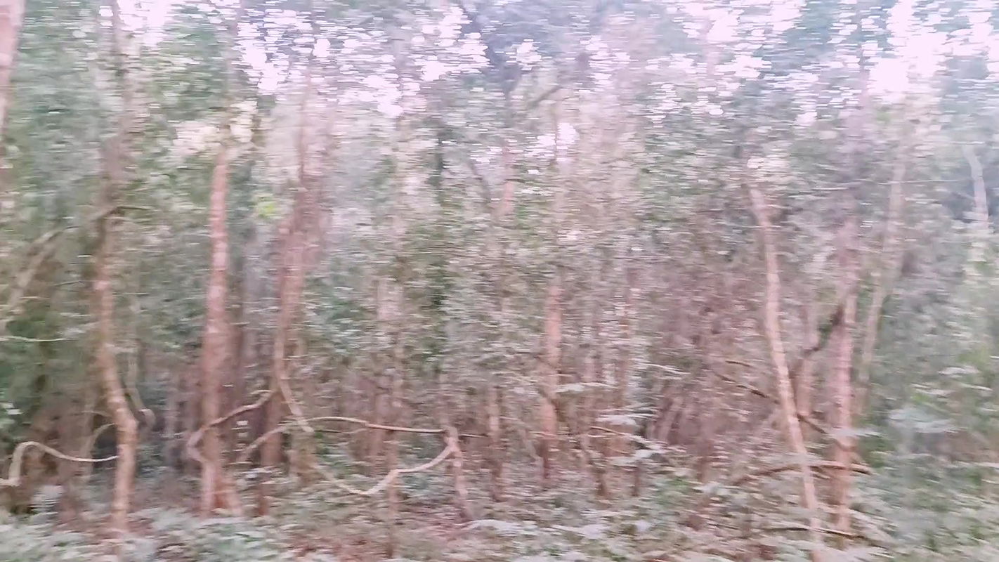 Telugu outdoor jungle fucking. Stepmom and forest fucking telugu dirty talks