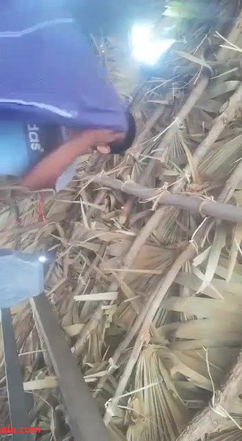 Nepali Girl’s Ultimate Fantasy