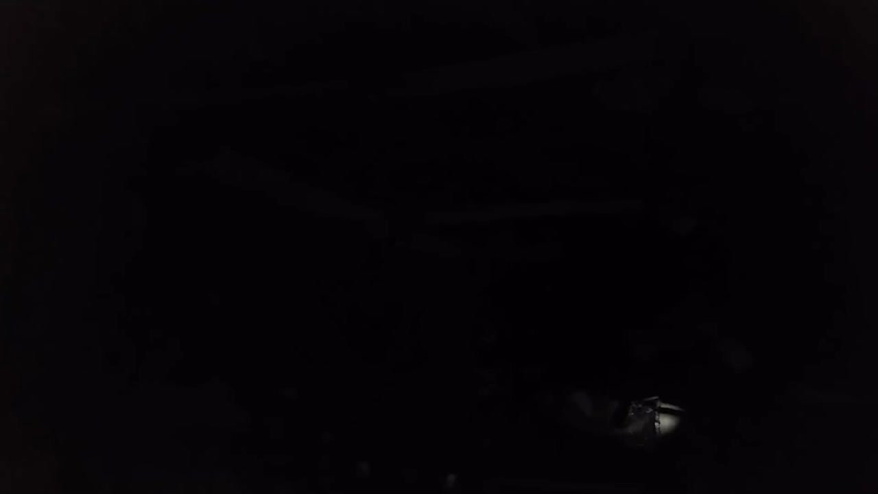 Rand Nude dance video-97