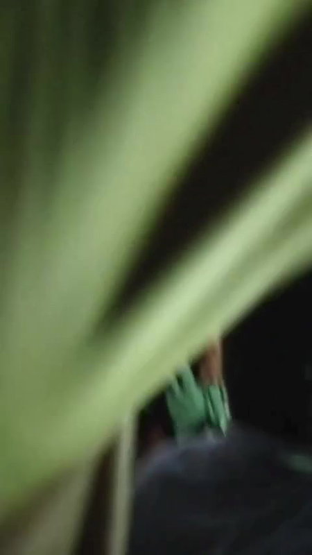 Rand Nude dance video-278