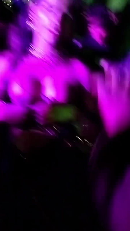 Rand Nude dance video-283